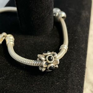 Pandora charm